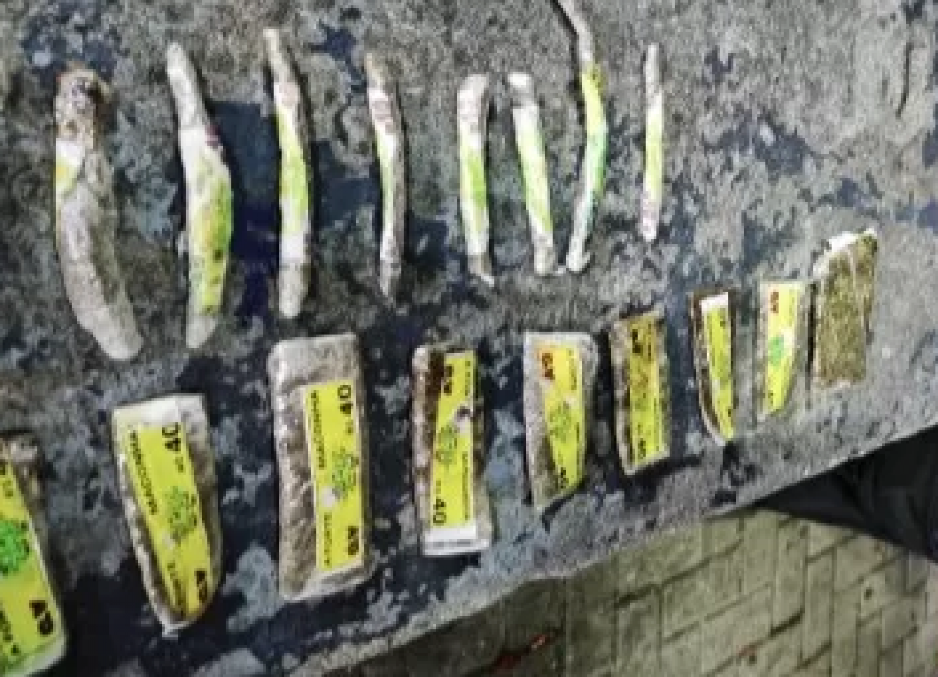 Foram encontrados cocaína, crack e maconha, escondidos em locais estratégicos  - Divulgação/PM 