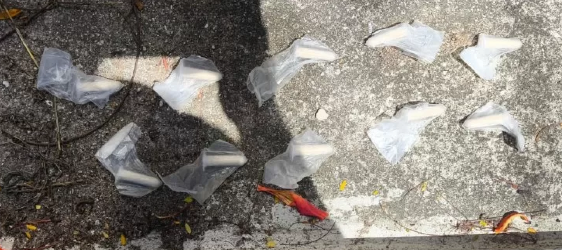 Foram encontrados cocaína, crack e maconha, escondidos em locais estratégicos  - Divulgação/PM 