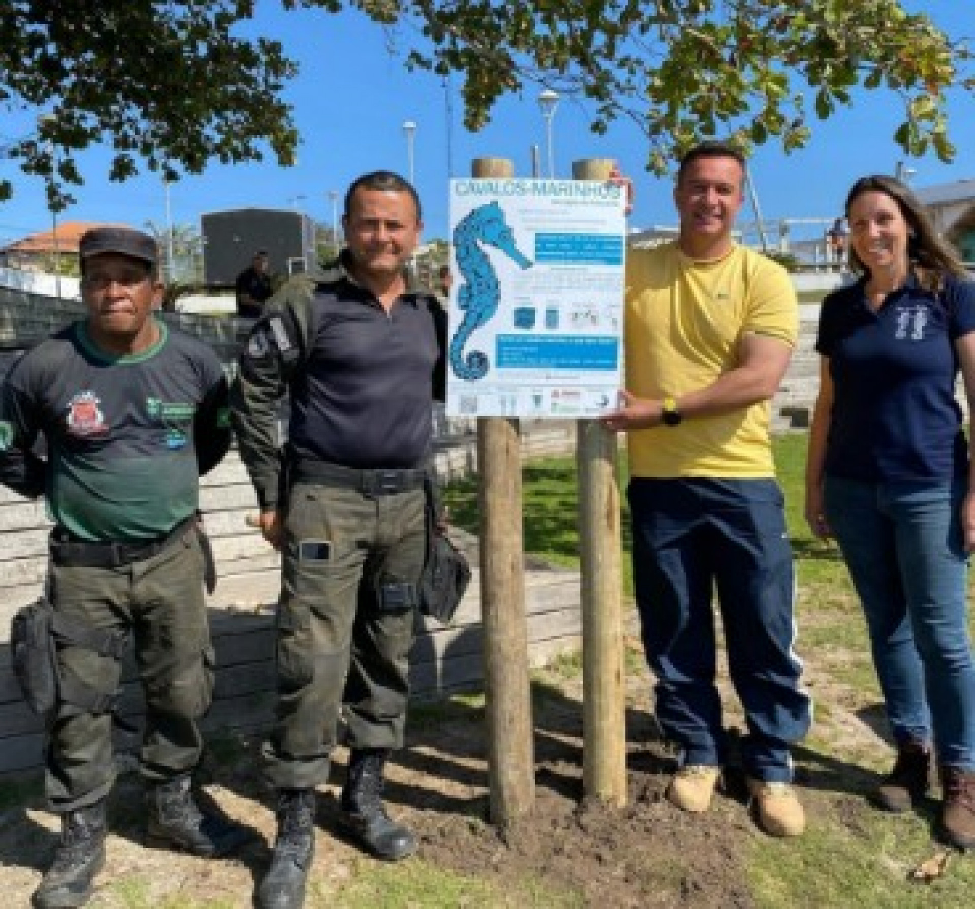 Projeto Cavalos-Marinhos  - Ludmila Lopes (RC24h)